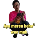 Sesat 29