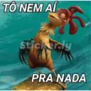 João frango 24