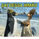 João frango 27