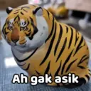 Harimau Gemoy 🐯 7