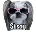 Animalitos 2 10