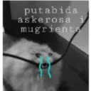 Animalitos 2 14