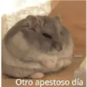 Animalitos 2 15