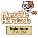 Dogtor frases  8