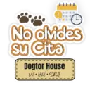 Dogtor frases  12