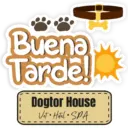 Dogtor frases  27