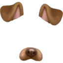 Filter  1