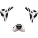 Filter  5