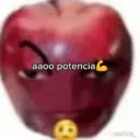 Calma perereka 3