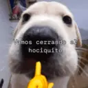 ANIMALES 3