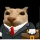 ANIMALES 8