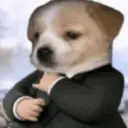 ANIMALES 9