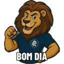 Zoeira futebol  15