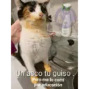 Frases divertidas 2