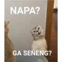 Kata kata 15