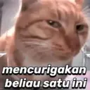 Kata kata 17