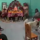 Figurinha Para Adicionar 7