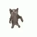 Miau 1