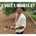 PACOTE FIGURINHAS DO TIRINGA 14