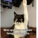Perritos y asi  12