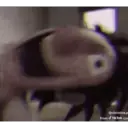Hehe 4