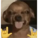 Hehe 14