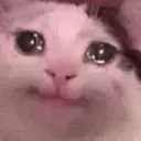 Kucing nangis cutee 9