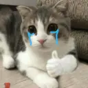 Kucing nangis cutee 16