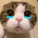 Kucing nangis cutee 17