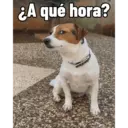Firu 1