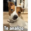 Firu 4
