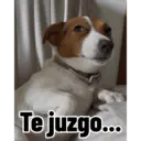 Firu 5