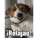 Firu 7