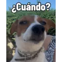 Firu 9