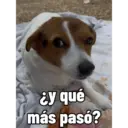 Firu 13