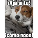 Firu 15