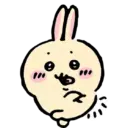 🐰 Usagi 🐰  1