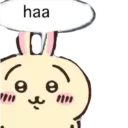 🐰 Usagi 🐰  5