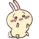 🐰 Usagi 🐰  6