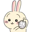 🐰 Usagi 🐰  8
