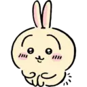🐰 Usagi 🐰  13