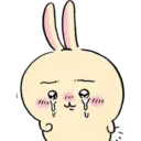 🐰 Usagi 🐰  18