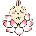 🐰 Usagi 🐰  23