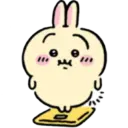 🐰 Usagi 🐰  26