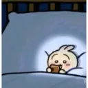 🐰 Usagi 🐰  29