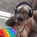 Ariana oscar winner 21