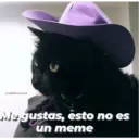 Michis enamorados 1
