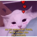Michis enamorados 2