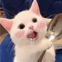 Michis enamorados 3