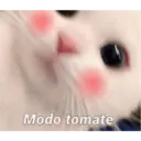 Michis enamorados 4